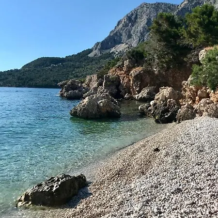 Danica Apartmán Drašnice