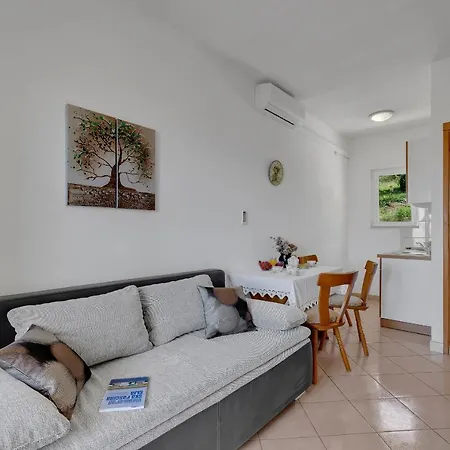 Danica دراسنيتش